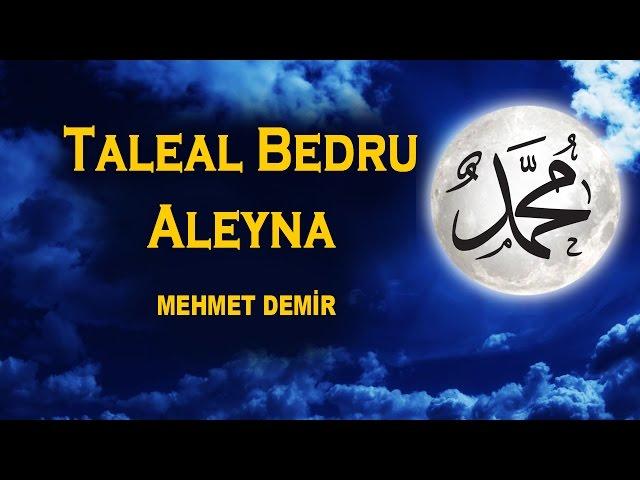 Taleal Bedru Aleyna 2017 [Ay Doğdu Üzerimize Veda Tepelerinden]  Mehmet Demir