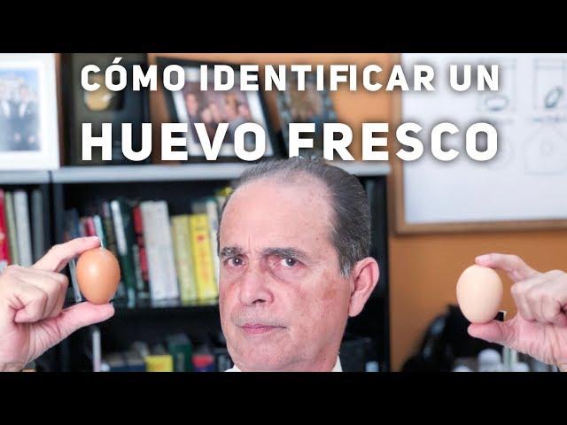 Episodio #1331 ¿Cómo Identificar Un Huevo Fresco?