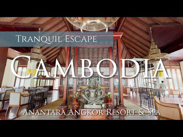 Tranquil Resort Near Angkor Wat: Anantara Angkor Resort Tour 2024 [4k] Siem Reap, Cambodia 