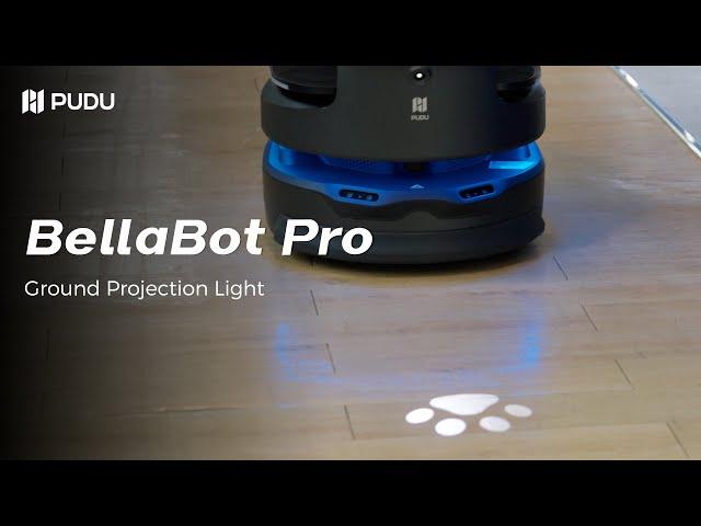 Floor Projections: BellaBot Pro’s Paws for Safety! | Pudu Robotics