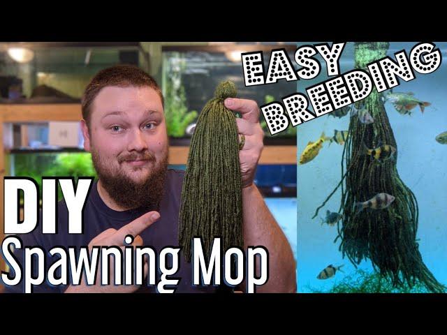 DIY Spawning Mop - How to make a Spawning Mop