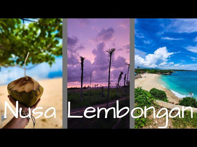 Vlog 21 - Backpacking Indonesien // Nusa Lembongan