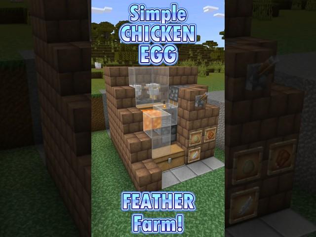 SIMPLE Chicken Egg and Feather Farm! Minecraft Bedrock 1.20 Survival Let's Play