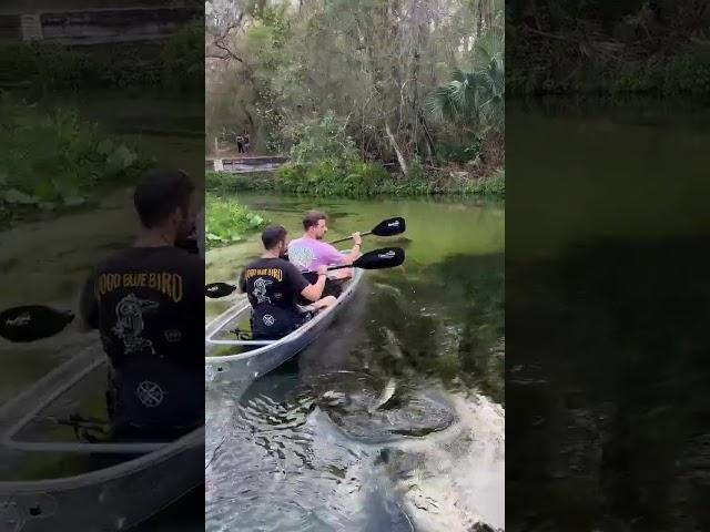 Clear kayak adventure in central Florida near Orlando