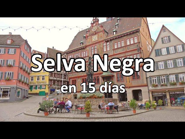  SELVA NEGRA en 15 días (Friburgo, Triberg, Stuttgart...) 🟢 GUÍA DE VIAJE (4K) | Alemania