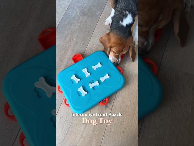 Engage and Delight: Interactive Treat Puzzle Dog Toy for Canine Fun!