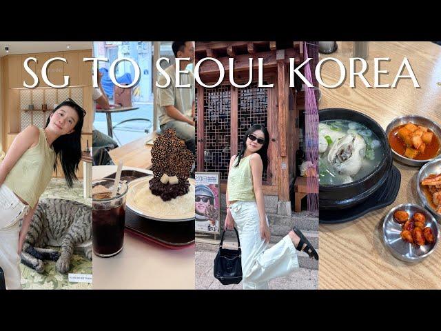 SG TO SEOUL KOREA: ultimate hongdae anguk shopping guide, what to do, famous ginseng chicken  [VLOG]