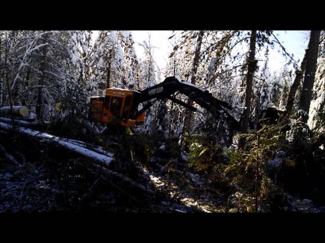 Woodland Equipment - TimberPro TL735 with Risley Rolly Rotosaw