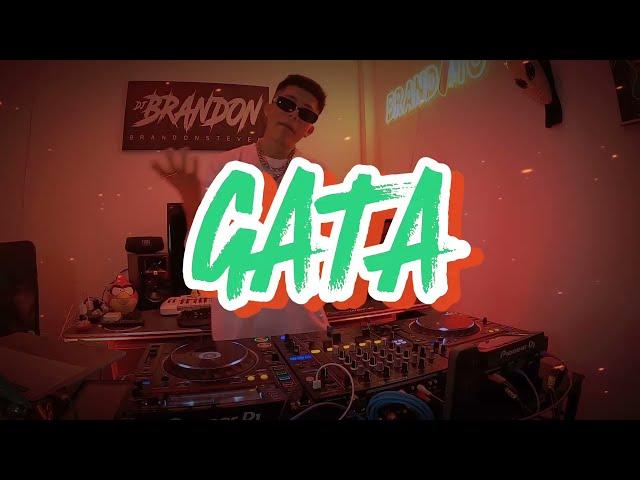 MIX GATA ONLY (DAYTONA, ANDO, FLAITES, BRATTIPUTI, CABAÑA, NO PARO DE PENSAR, MAULLAME) BRANDITO