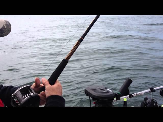 Halibut fishing surprise