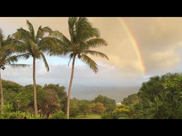 Incredible Rainbow from Maui Eco Retreat! #rainbow #maui