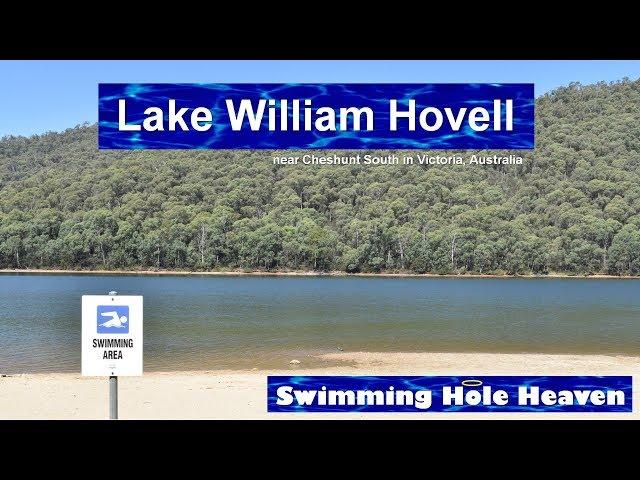 Swimming in Lake William Hovell