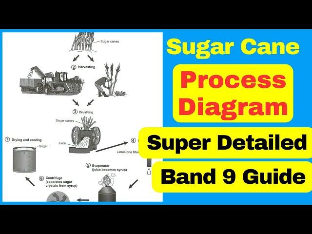 How to Describe a Process Diagram [IELTS Writing Task 1 Band 9 Guide]