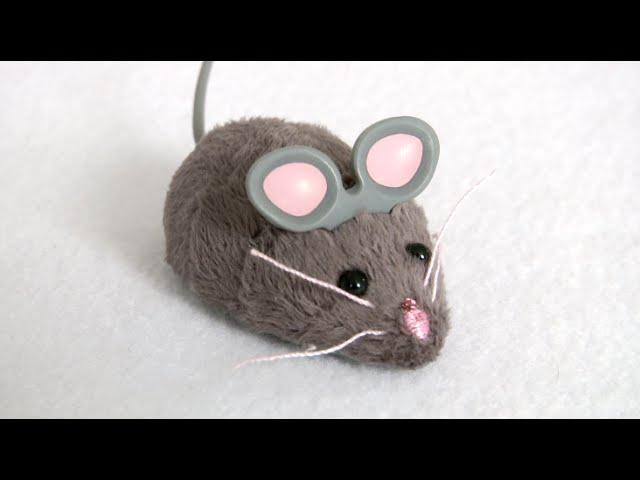 Hexbug Mouse Robotic Cat Toy from Hexbug