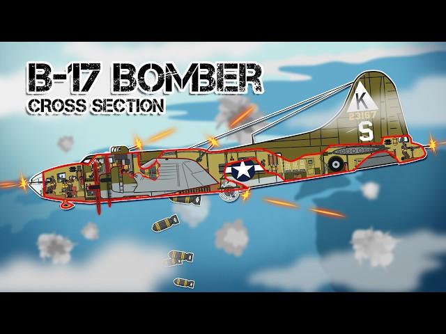 Life Inside The B-17 Flying Fortress (Cross Section)