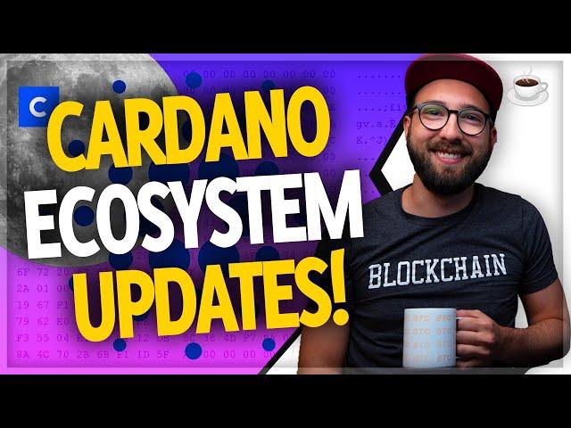 Cardano Goguen, Enjin coin, NFT, Bitcoin Price, UniLend & more // Crypto Over Coffee ep.58