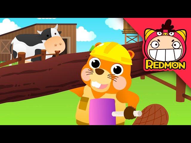 Builder beaver Song | Animal songs | Nursery Rhymes | REDMON