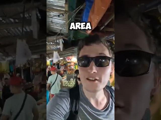 CAT TOUR GUIDE  #cat #Philippines #vegetables