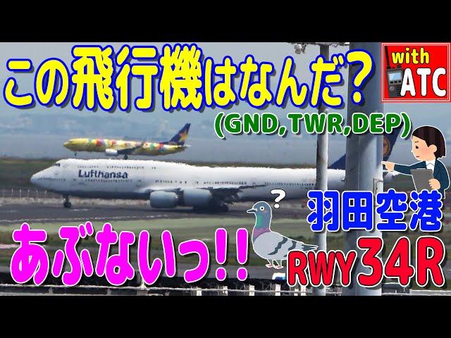 この飛行機は何だ? 羽田空港 RWY34Rに現れた4発機。【ATC/字幕/翻訳付き】