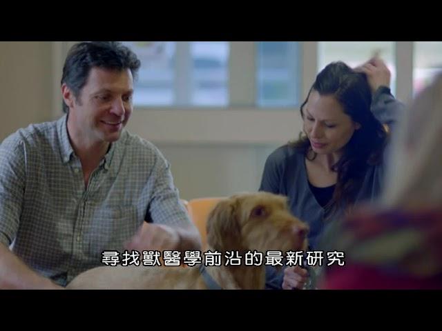 BBC 相信我，我是獸醫（一）