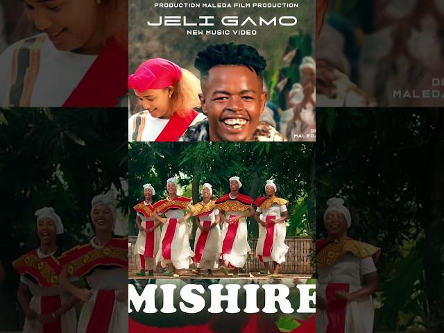 Ethiopian Music - Jeli Gamo - Mishire- New Ethiopian Music 2024 (Official Video)