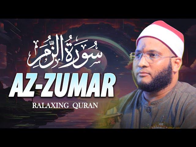 Surah Az Zumar Qari Salah Suleman سورة الزمر قاري صلاح سليمان