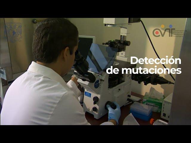 Unidad Multidisciplinar: Laboratorio de Biología Molecular | Vinculación UNAM