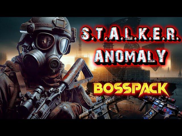 Вот это пушки! Серия 1. Stalker BossPack