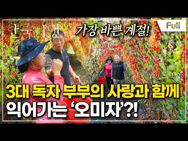 [Full] 한국기행 - 추(秋)향저격 5부 오미자 익어가는 가을