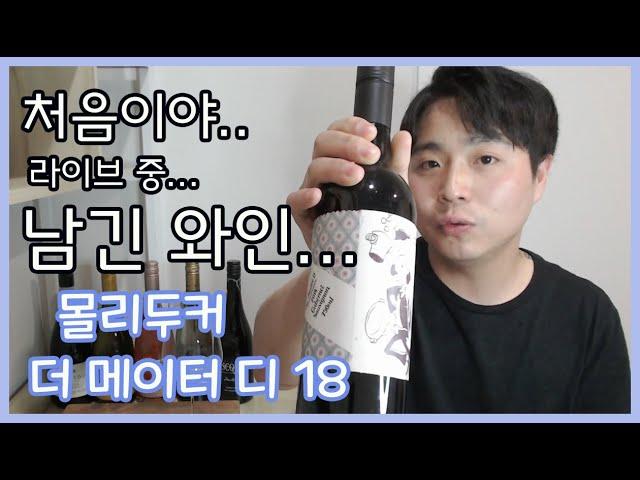 여윽시 몰리두커다!! 더 메이터 디 2018