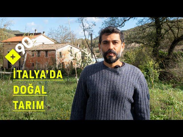 Doğal tarım: "Hiçbir şey yapma tarımı" | "Sulamaya ve yabani bitkilerle mücadeleye gerek yok"