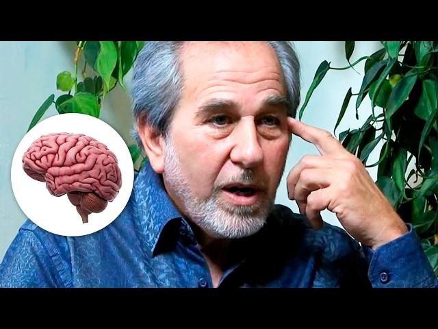 How to enable self-healing of the body? Microbiologist Bruce Lipton discovered the secret