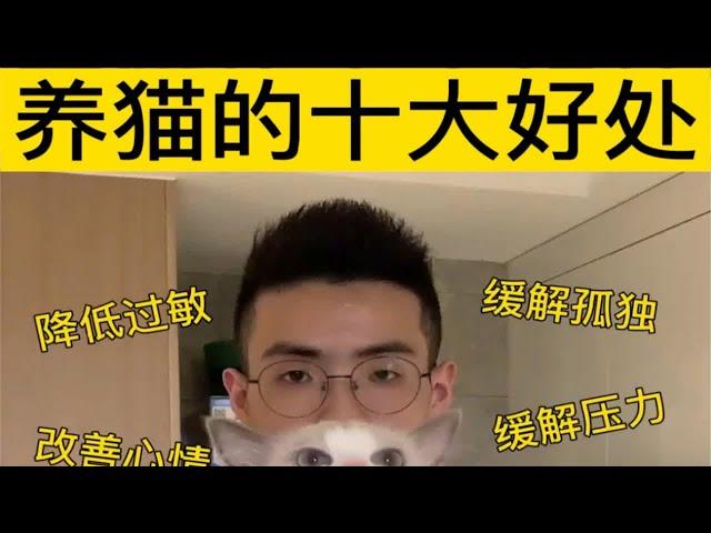 养猫的十大好处