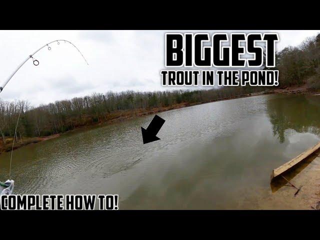 How To CATCH TROUT in Lakes and Ponds! (GIANT RAINBOW TROUT)