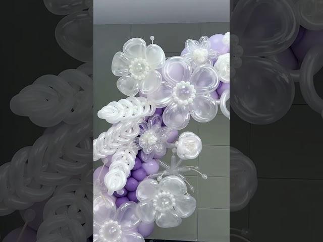 Beautiful Balloon Flowers