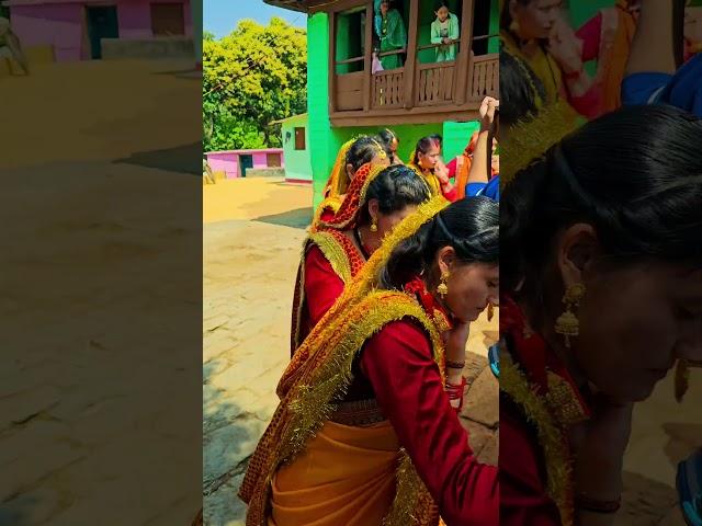 Chaha Ko Rang️ || Village life Uttarakhand || @navrajvlogs3454 !! #villagelife #uttrakhnd