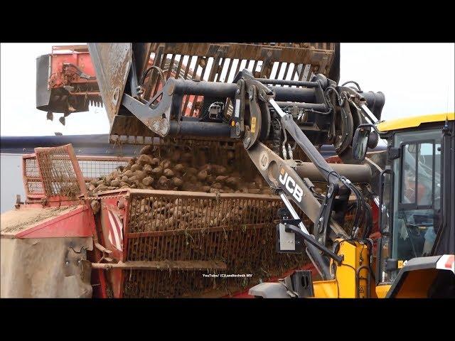 JCB-Holmer / Rübenverladung - Loading Beets