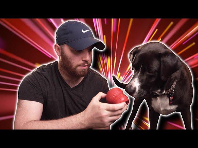 Joshua Valour reviews my dog
