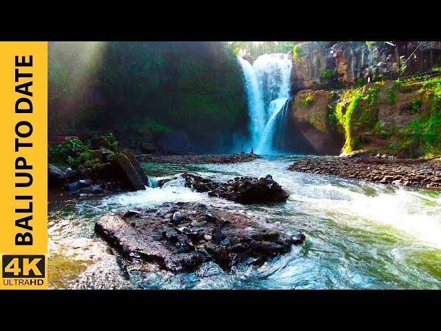 [4K] Amazing Tour in Tegenungan Waterfall Bali, Indonesia