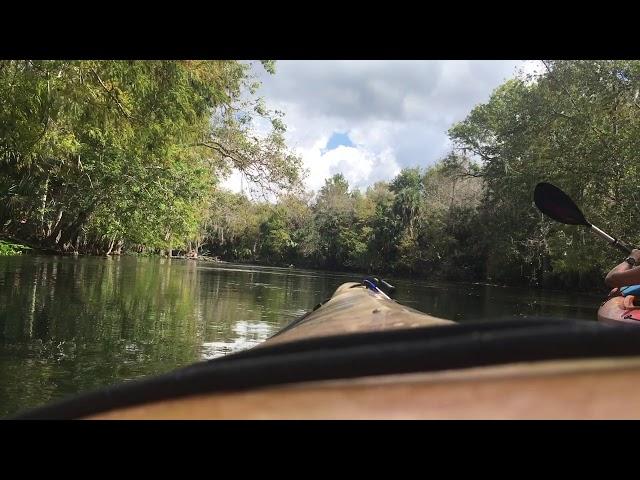 Kayak Tour Silver River, Silver Springs State Park Florida