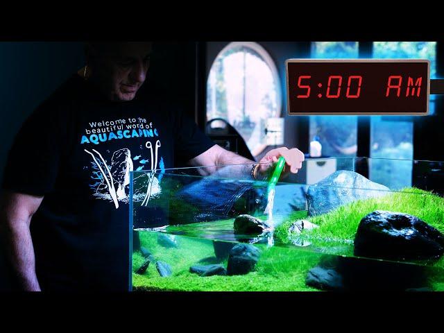 MORNING SHIFT at Green Aqua | Planted Aquarium Maintenance