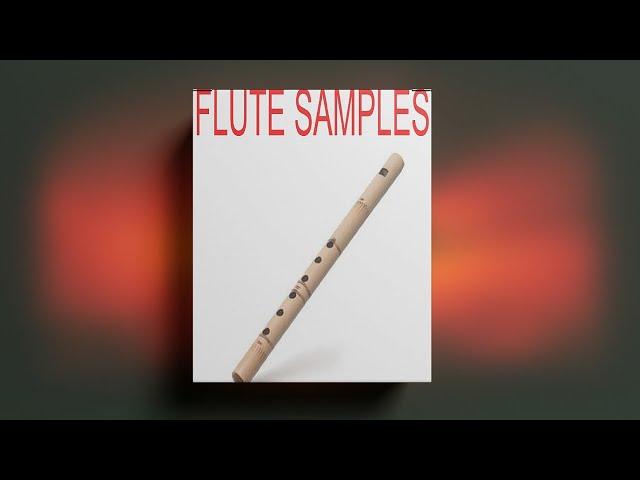 (FREE) DOWNLOAD FLUTE LOOP KIT / ROYALTY FREE SAMPLE PACK - "VOL.24" [Melody Loops]