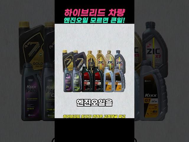 하이브리드 자동차 관리 이렇게 해야 큰돈 안씁니다