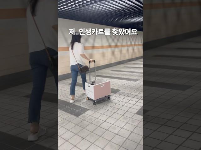 저 인생카트를 찾았어요 큐폴드 카트!!!