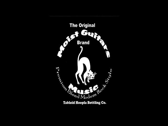 Moist Guitars Take Your Time feat.  Sexy Pam