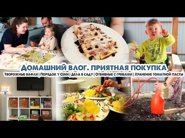 ВлогТВОРОЖНЫЕ ВАФЛИХранение пастыНОВЫЙ ТЕЛЕВИЗОР Отбивные с грибамиПОРЯДОК У СЕНИДела в саду