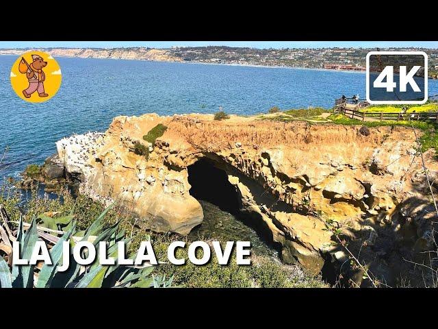 La Jolla Cove Walking Tour, San Diego California, USA | {4k}  Binaural Sound