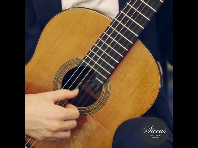 REMARKABLE PERFORMANCE | Sergey Perelekhov | Siccas Guitars | #shorts