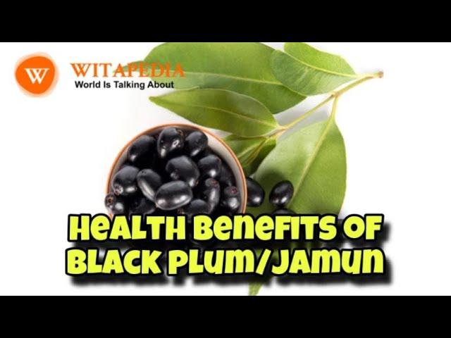 Health benefits of black plum/jamun - @Witapedia