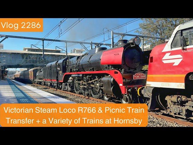 Sydney Trains Vlog 2286: Victorian Steam Loco R766 Picnic Train Transfer & Other Trains at Hornsby